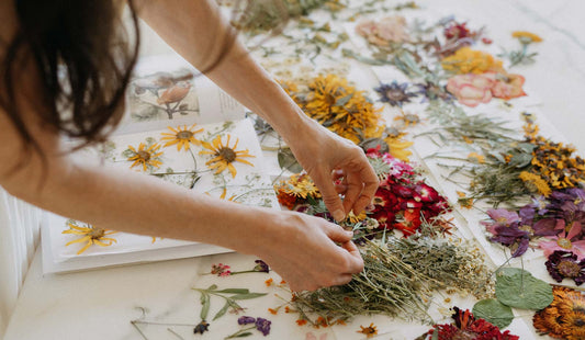 Daydreamer Series: On The Hard Work Behind A Lucky Break