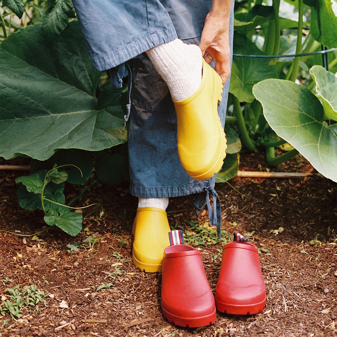 Womens - Bodega Clog V2 - Calendula