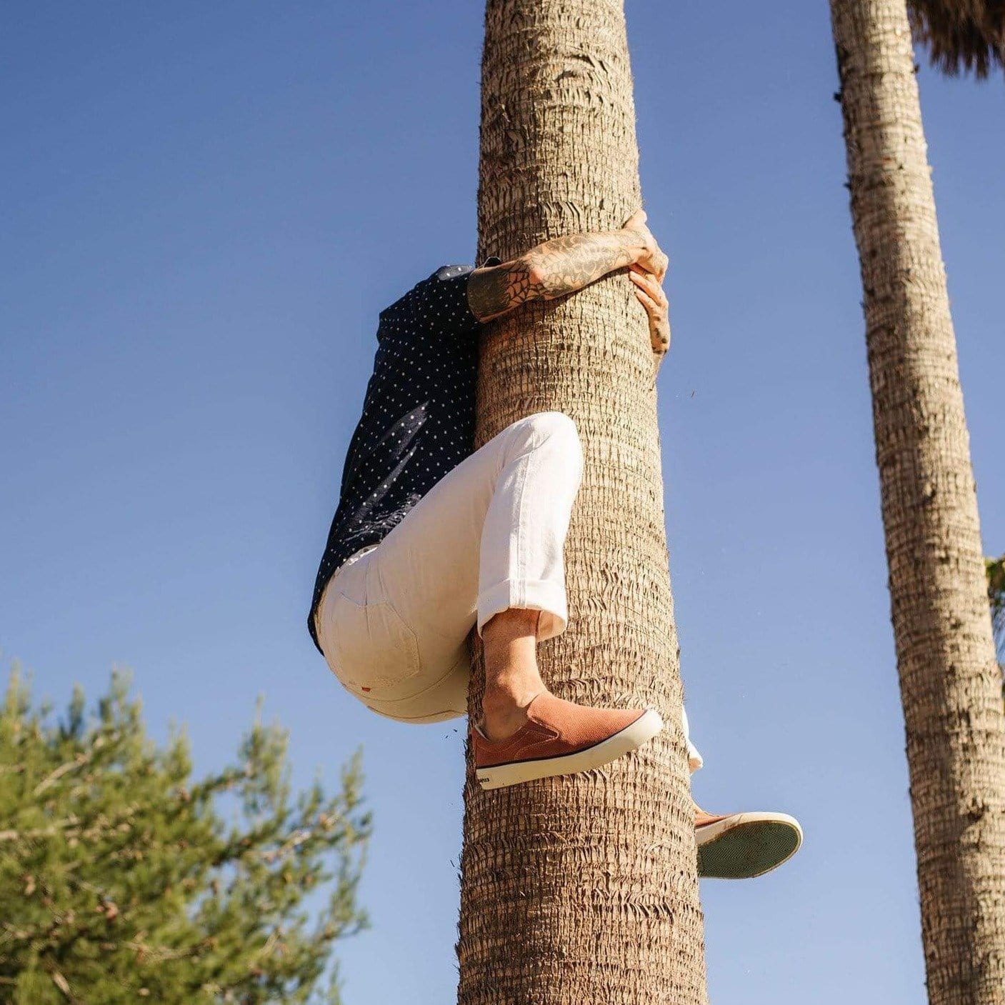 Mens - Hawthorne Slip On - Terracotta â SeaVees